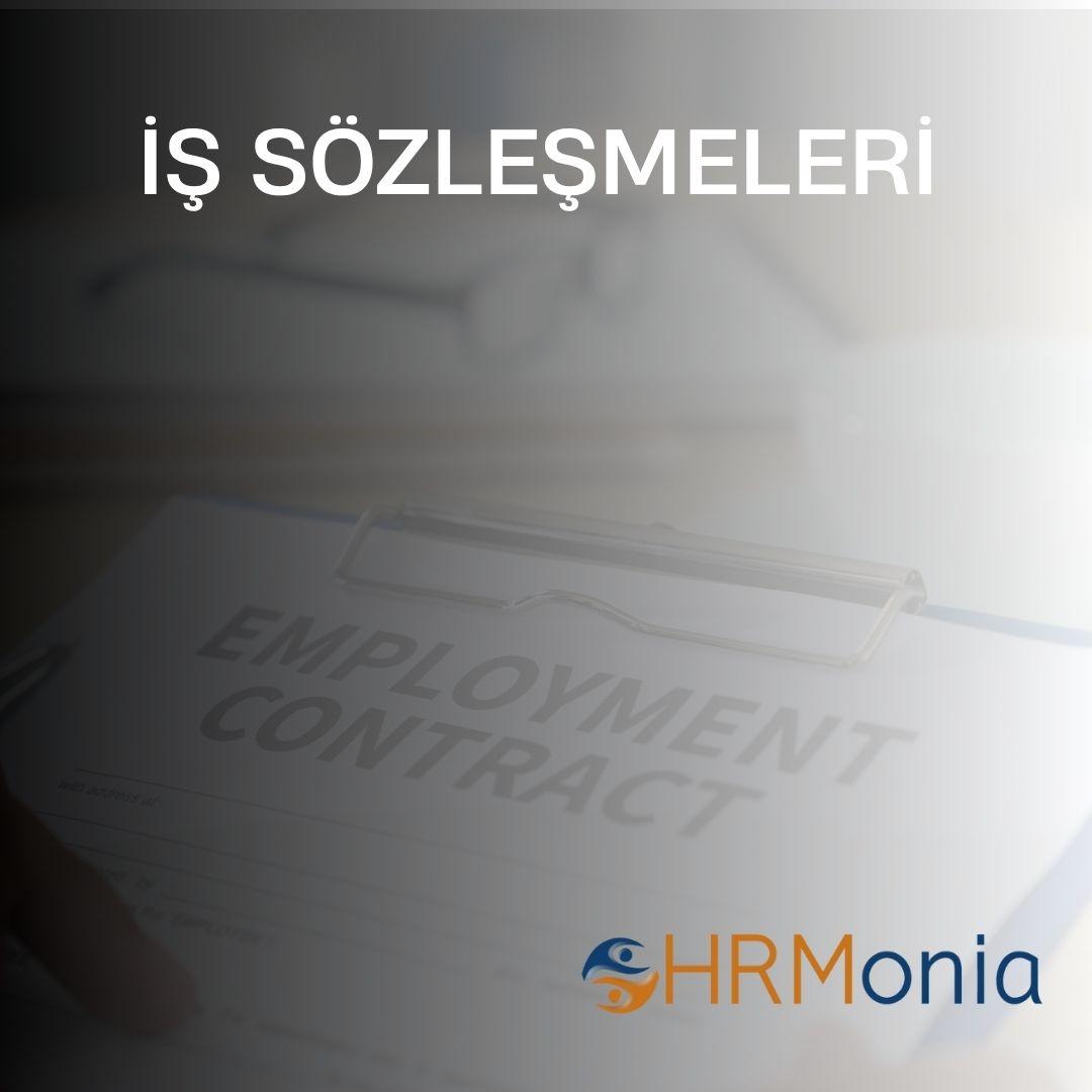 İş Sözleşmesi Çeşidi