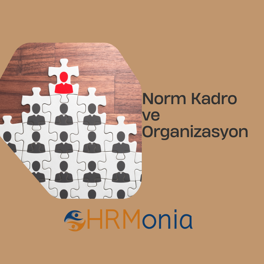 Norm kadro ve Unvan Yapısı Yönetimi